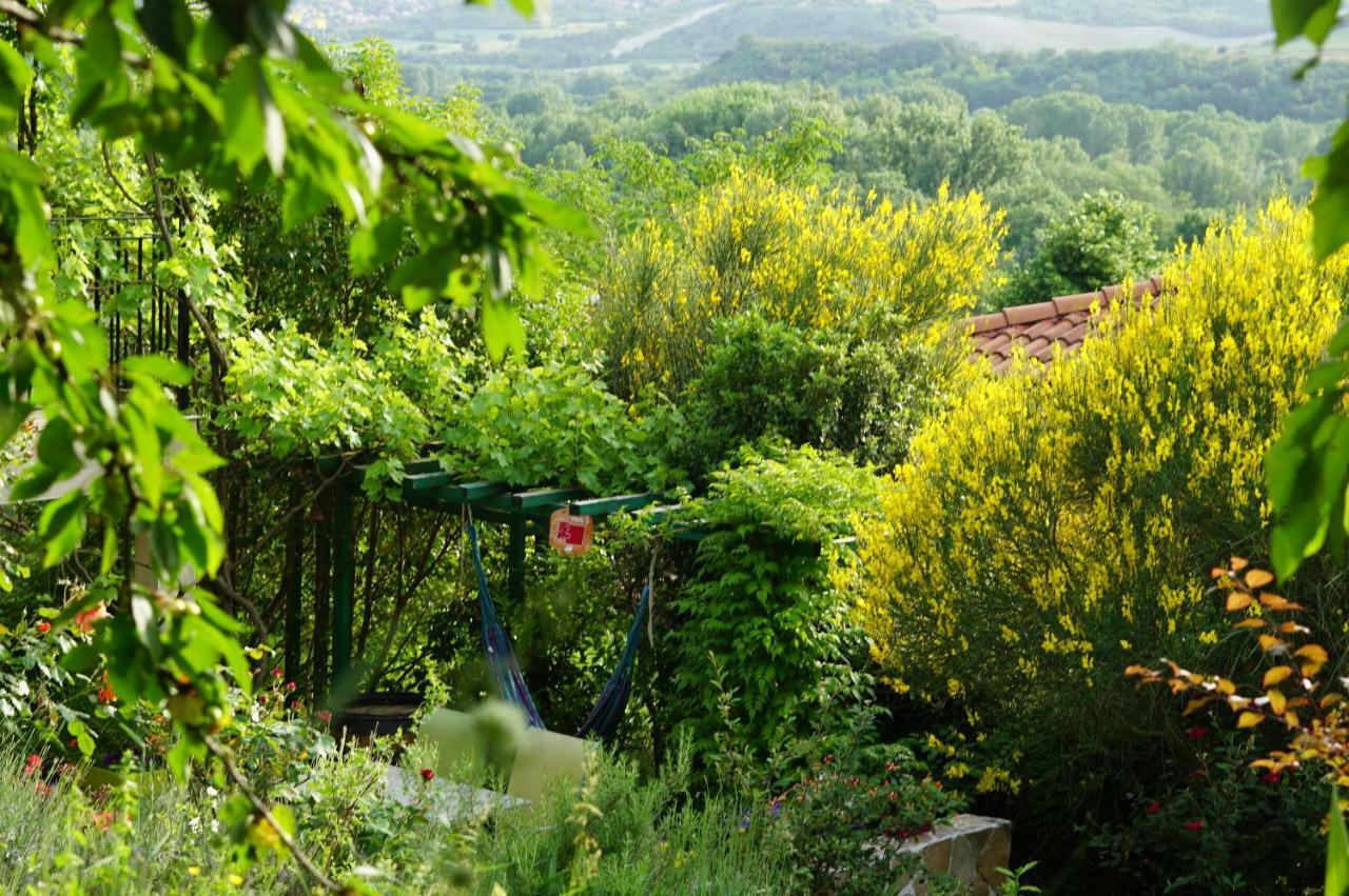 Le Balcon Villa Dallet Buitenkant foto